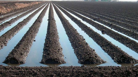 Технология, проверенная веками