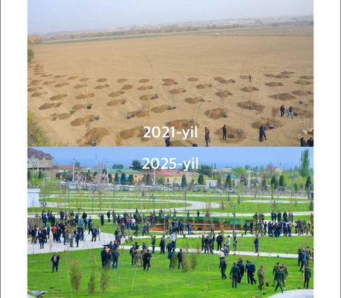 Dasht oʻrnida yangi bogʻ yaratildi