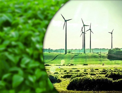 Узбекистан ставит на экологию: 2025-й объявлен Годом защиты окружающей среды и «зеленой экономики»