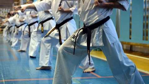 В Узбекистане будет создана Ассоциация карате Узбекистана (WKF)