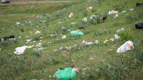 Тошкент вилоятидаги Қизил тоғ дам олиш ҳудуди бир кунда 1,7 тонна чиқиндидан тозаланди