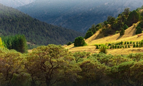 Өзбекстан Орхус конвенциясына ресми түрде қосылды