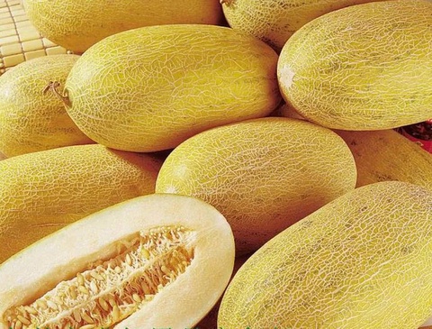 Uzbekistan exported the first batch of melons to Singapore