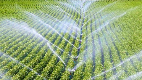 Ташкент облысы  биыл 800 миллион текше метр суды үнемдейді