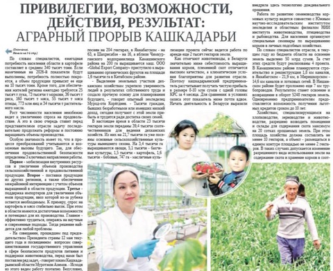 Привилегии, возможности, действия, результат: аграрный прорыв Кашкадарьи
