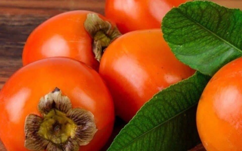 Ӯзбекистон ба 4-умин зинаи содиркунандагони ҷаҳонии хурмо дохил шуд