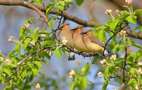 Прогноз погоды на день 11 апреля