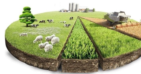 Қишлоқ хўжалиги суғуртаси жамғармаси ташкил этилади