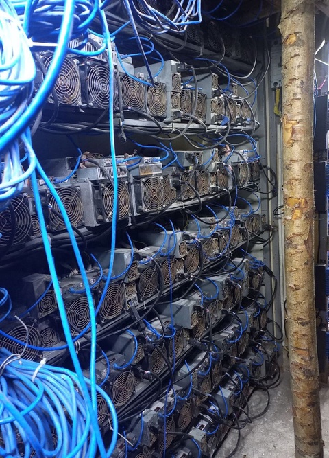 Joriy yil boshidan buyon 26 ta mayning ferma fosh qilingan