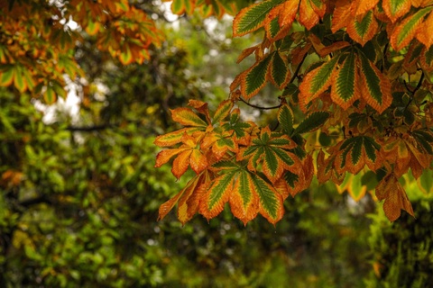 Прогноз погоды на 20 октября