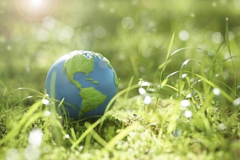 "Жасыл" мәмлекетлик сатып алыўларды қоллап-қуўатлаў системасы жетилистириледи