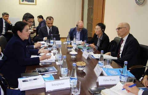 Омбудсмен БҰҰ-ның Адам құқықтары бойынша Жоғарғы комиссарымен кездесті