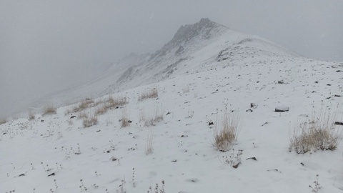 Qashqadaryo togʻlariga qor yogʻdi