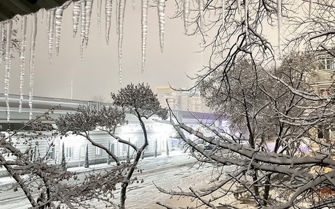 Келаётган қишда ҳам аномал совуқ бўладими?