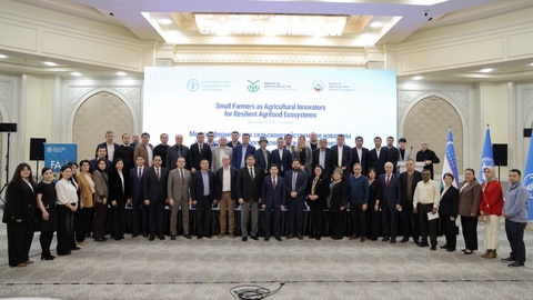 Узбекистан и ФАО завершают реализацию регионального проекта по поддержке мелких фермеров