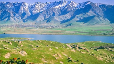 Узбекистан и Россия запустят совместные экологические экспедиции