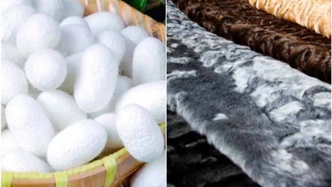 Шелководство и каракулеводство: новый этап развития