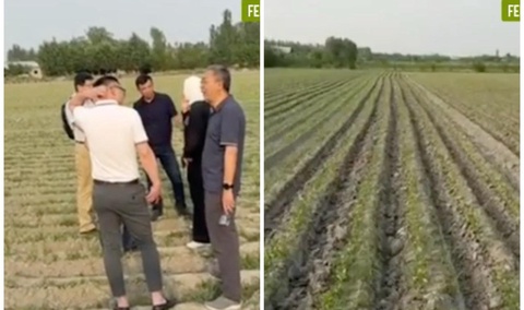 Rejani bajarmagan fermerlar yerlari xitoyliklarga berilyaptimi?