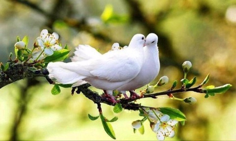 Прогноз погоды на день 28 марта