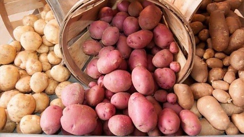 В январе 2022 года Пакистан стал крупнейшим поставщиком картофеля в Узбекистан