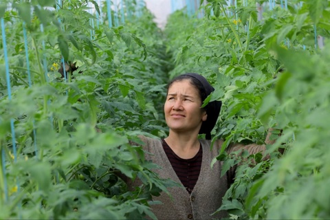 Аўыл хожалығында трансформация: технология, билим ҳәм турақлы раўажланыў жолы