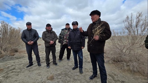 Аралдағы жасалма тоғайлықлар 2 миллион гектарға шамаласты