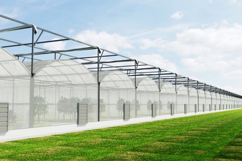 Sherobod tumanida “Surxon-Agro” erkin iqtisodiy zonasi tashkil etiladi