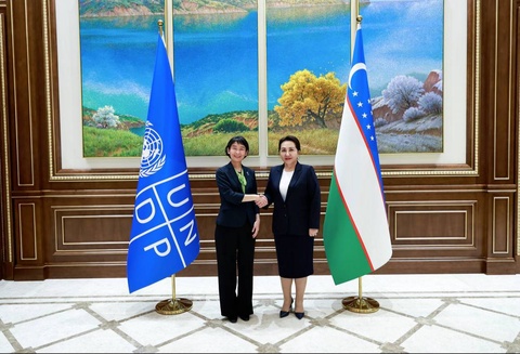 Cooperation ties and long-term plans with the UN Development Program were discussed