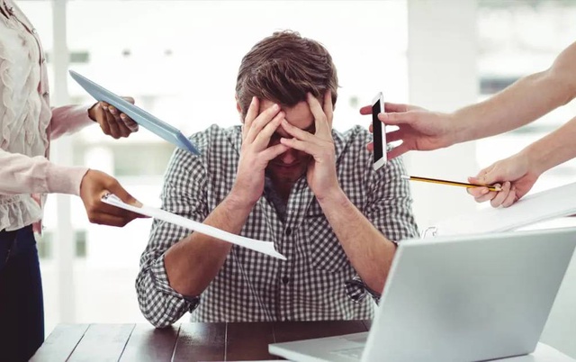 Uzbekistan to launch information portal for complaints about pressure and violence in the workplace