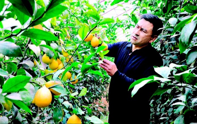 Tashlandiq yerdan millionlab daromad topayotgan fermer