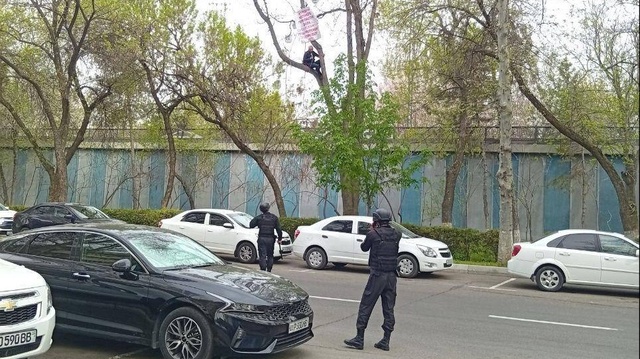 Oliy sud: “daraxtga chiqish” kabi usullar masalani hal etishga xizmat qilmaydi