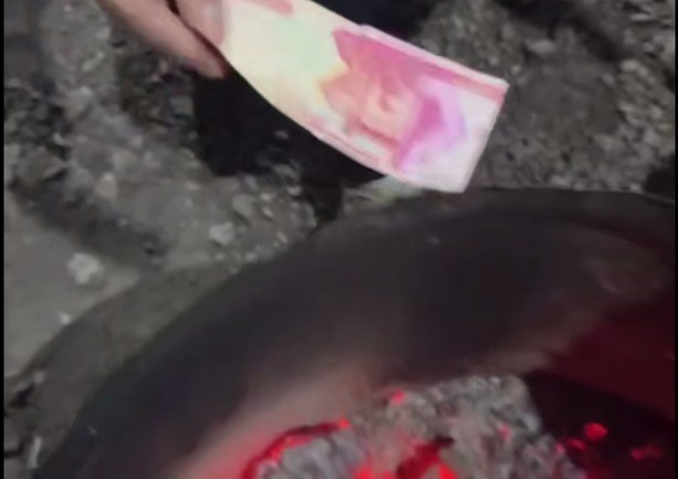 Investigation launched after foreigner burns Uzbek sums