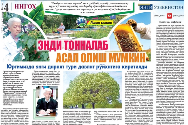 Endi tonnalab asal olish mumkin